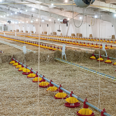 Budynki inwentarskie