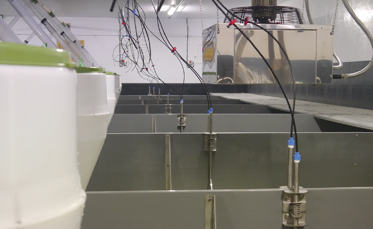 AQUAPIGGY 15 - obrazek 3